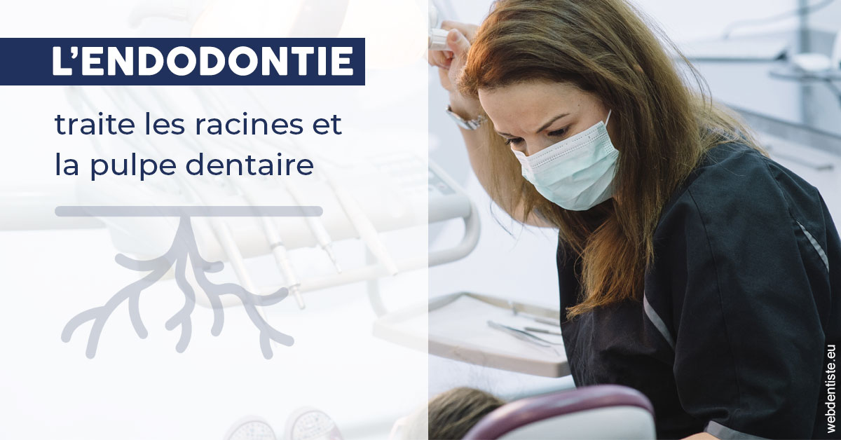 https://dr-gritli-soraya.chirurgiens-dentistes.fr/L'endodontie 1