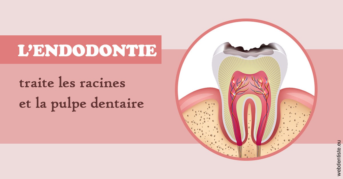 https://dr-gritli-soraya.chirurgiens-dentistes.fr/L'endodontie 2