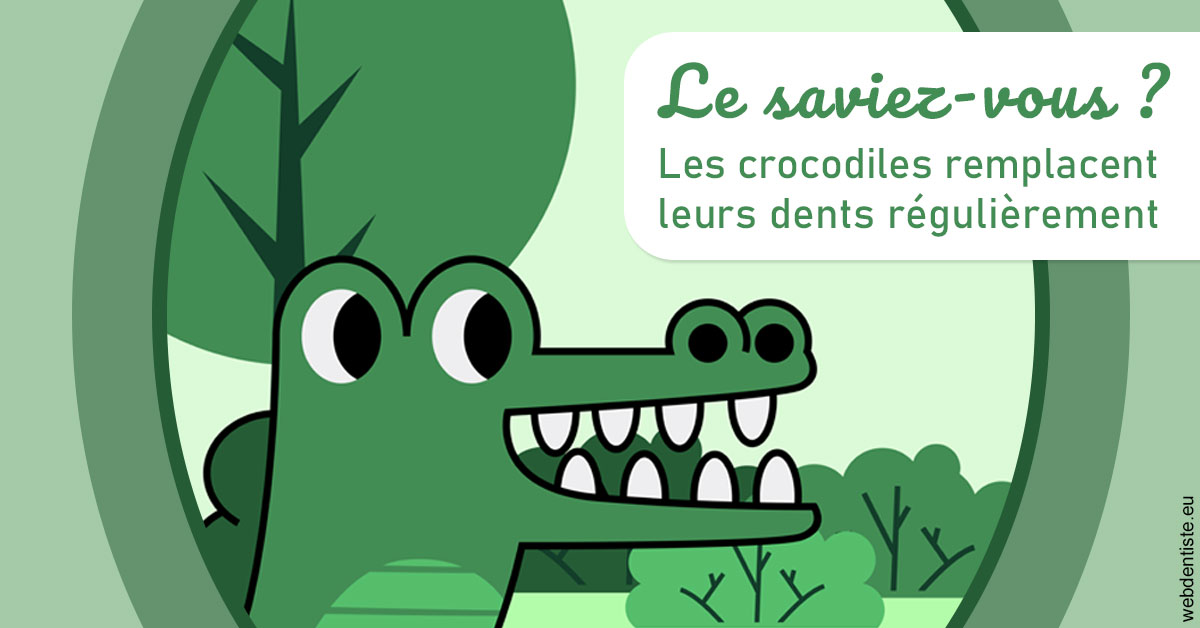 https://dr-gritli-soraya.chirurgiens-dentistes.fr/Crocodiles 2