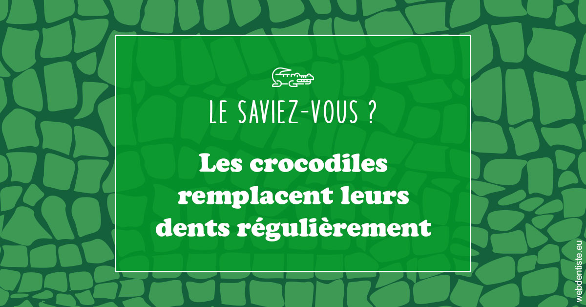 https://dr-gritli-soraya.chirurgiens-dentistes.fr/Crocodiles 1